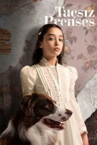 Принцесса без короны - постер