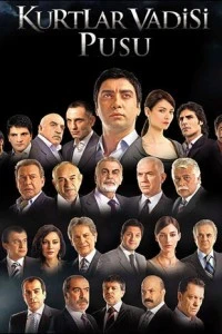 Долина волков: Западня - постер