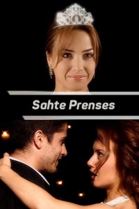 Госпожа горничная - постер